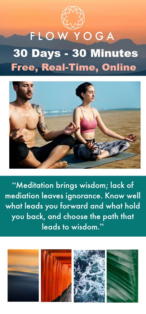 Vinyasa Flow Yoga for Beginners