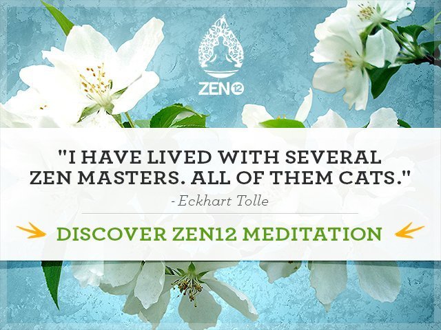 Zen12 Meditation