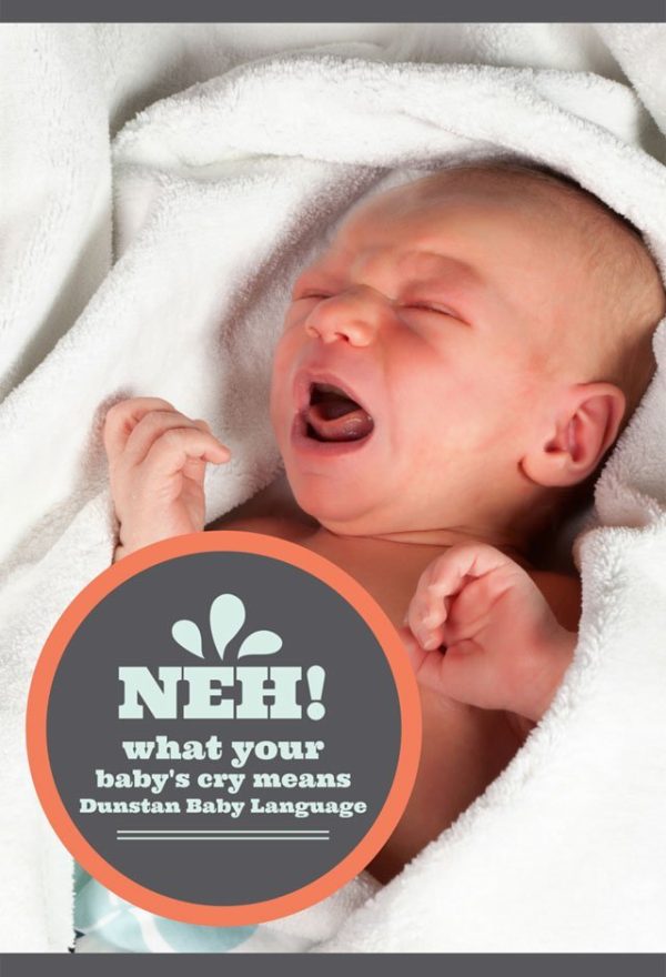 Cracking Baby's Code Master Dunstan Baby Language Today!