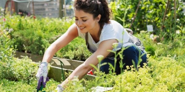 lady gardening