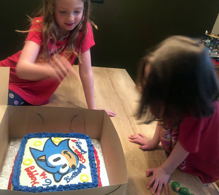 Icing Smiles Sonic Hedgehog Cake