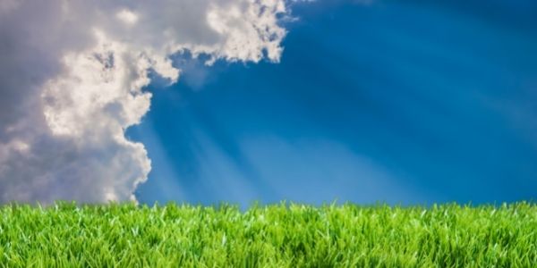 a big blue sky with a big white cloud with vibrant green grass