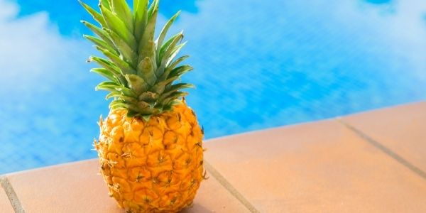 Pineapple sitting on a deck by a pool