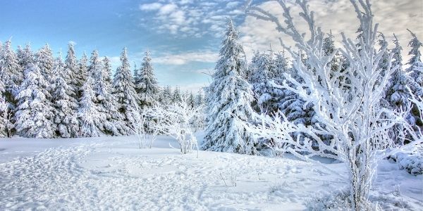 a winter scene