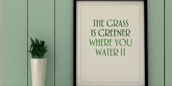 sign that says the grass is greener when you water it with a plant beside it
