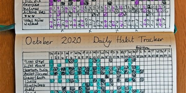 daily habit tracker bullet journal