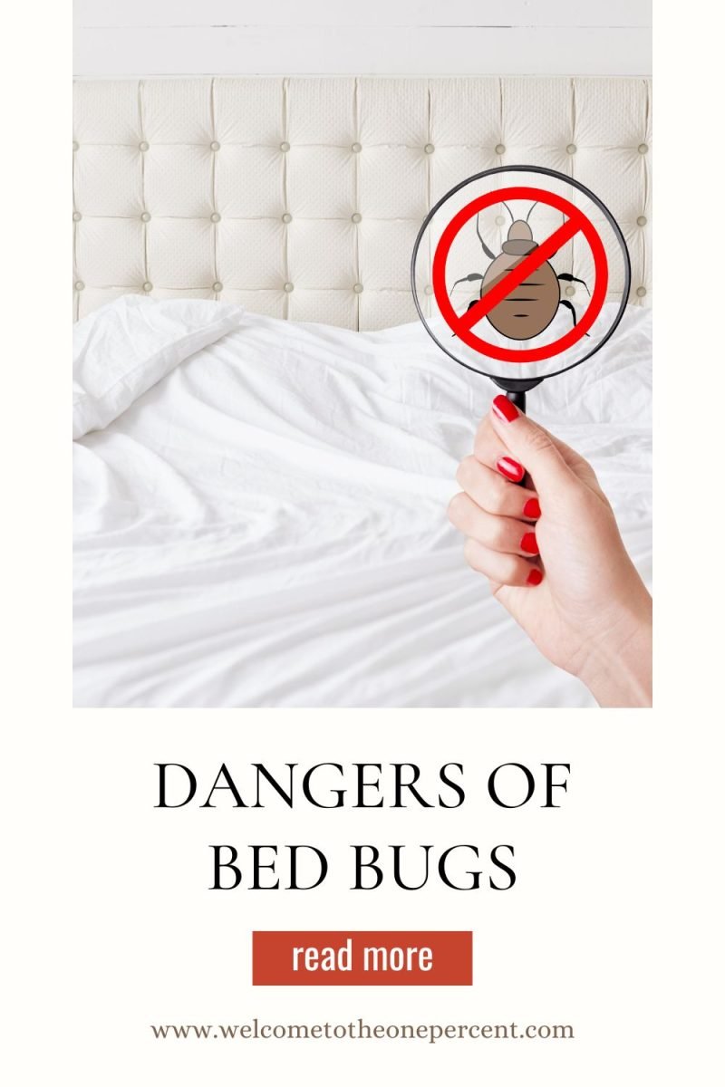 Don't Let Bed Bugs Bite! Unveiling the Hidden Dangers of a Bed Bug Infestation